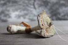 Laden Sie das Bild in den Galerie-Viewer, Spun Cotton Ornament Brown Mushroom