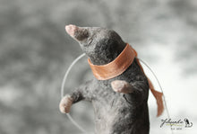 Laden Sie das Bild in den Galerie-Viewer, Spun Cotton Ornament Mole with Peach Ribbon