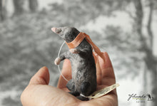 Laden Sie das Bild in den Galerie-Viewer, Spun Cotton Ornament Mole with Peach Ribbon