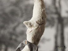 Laden Sie das Bild in den Galerie-Viewer, Spun Cotton Ornament Moon "Follow Your Dreams"