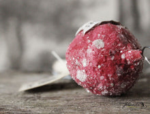 Laden Sie das Bild in den Galerie-Viewer, Spun Cotton Ornament Red Mushroom "Forever Yours"