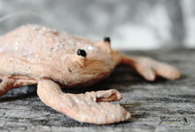 Laden Sie das Bild in den Galerie-Viewer, Crab with Glitter Spun Cotton Figurine