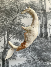 Laden Sie das Bild in den Galerie-Viewer, Spun Cotton Christmas Ornament Moon &quot;Time To Dream&quot;