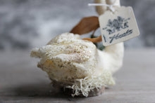 Laden Sie das Bild in den Galerie-Viewer, Standing Spun Cotton Figurine Curious Winged Swan with Wreath