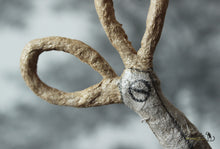 Laden Sie das Bild in den Galerie-Viewer, Spun Cotton Ornament Scissors Gold
