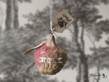 Laden Sie das Bild in den Galerie-Viewer, Spun Cotton Ornament Apple