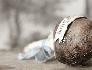 Spun Cotton Ornament Brown Mushroom "Dream"