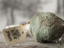 Laden Sie das Bild in den Galerie-Viewer, Spun Cotton Ornament Green Mushroom &quot;Love&quot;
