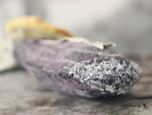 Laden Sie das Bild in den Galerie-Viewer, Spun Cotton Ornament Blue Mussel